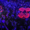 PACHA Club Ibiza